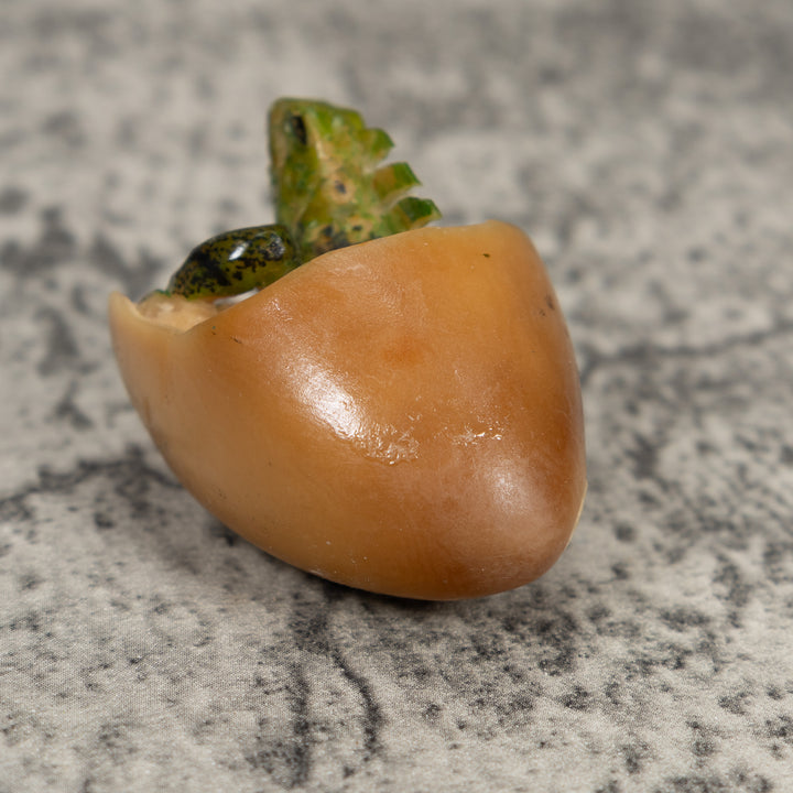 Vintage Iguana Lizard Emering From Egg Tagua Carving