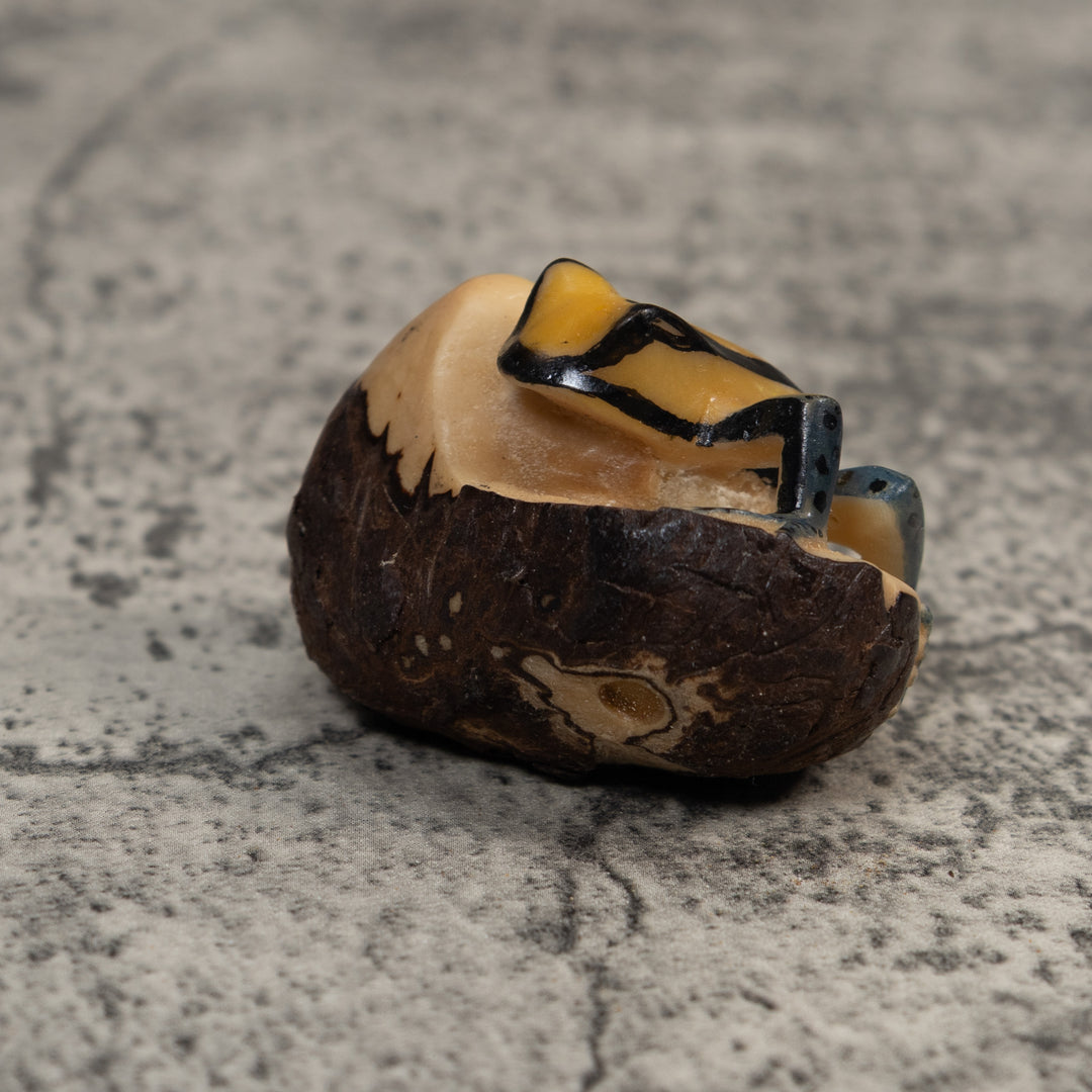 Vintage Yellow And Black Poison Dart Frog Tagua Carving