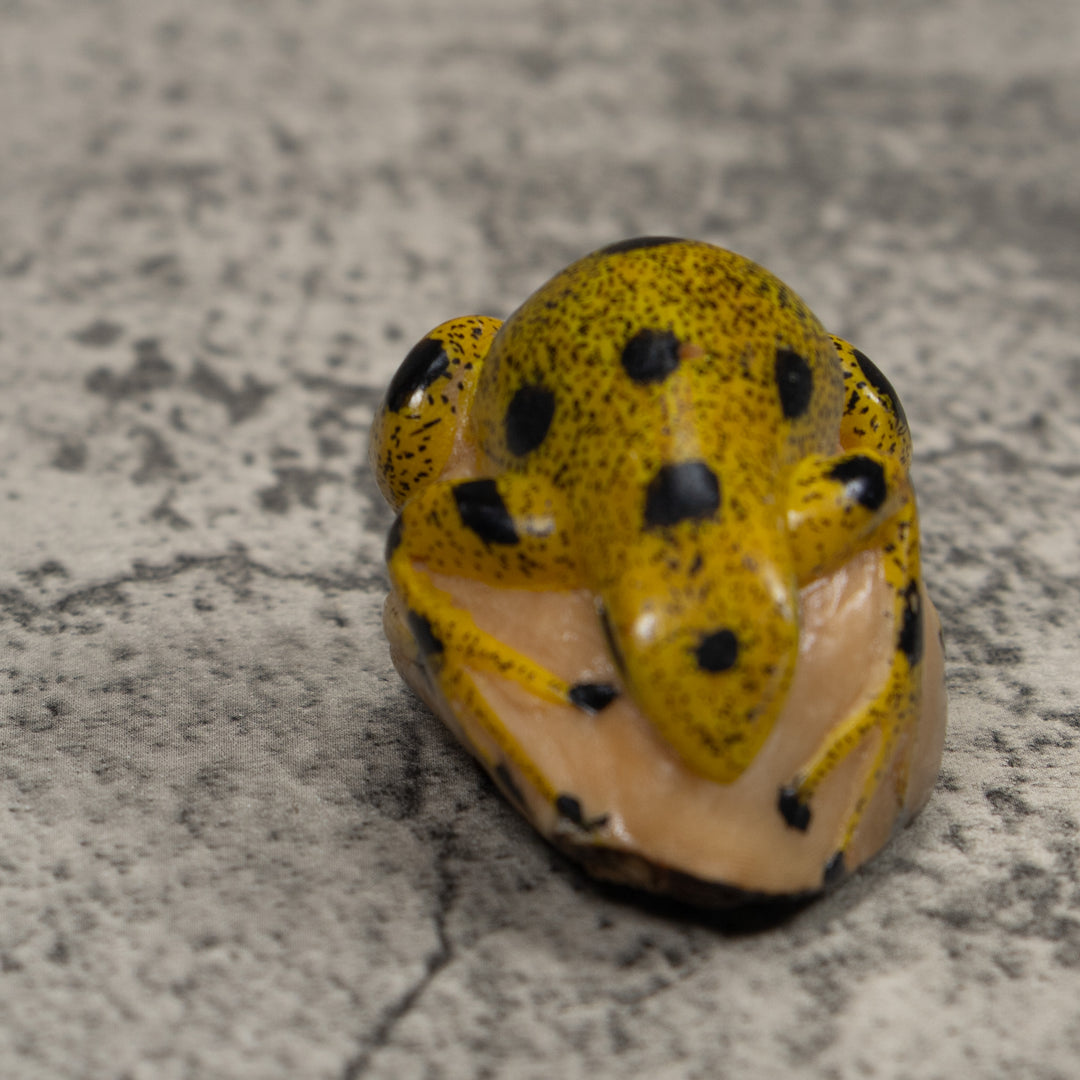 Vintage Black And Gold Frog Tagua Carving