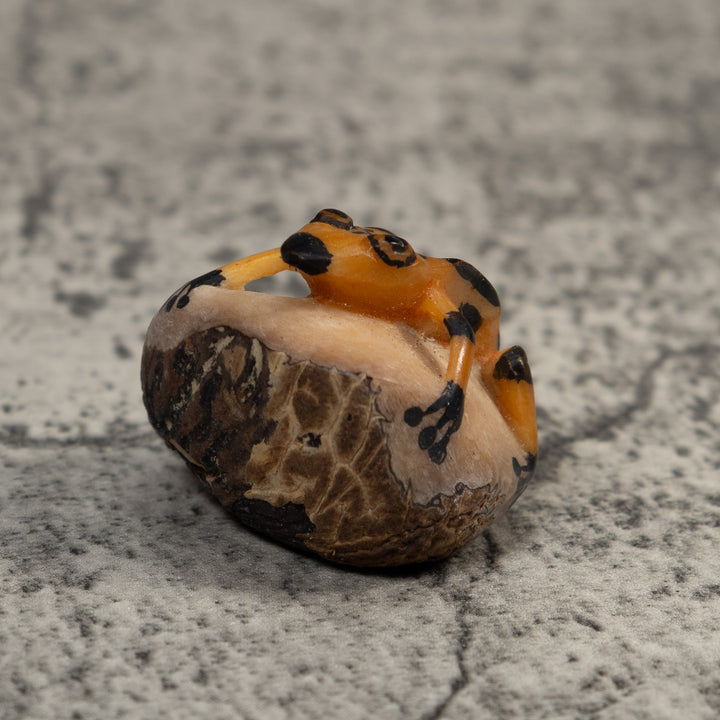 Vintage Gold And Black Poison Dart Frog Tagua Carving