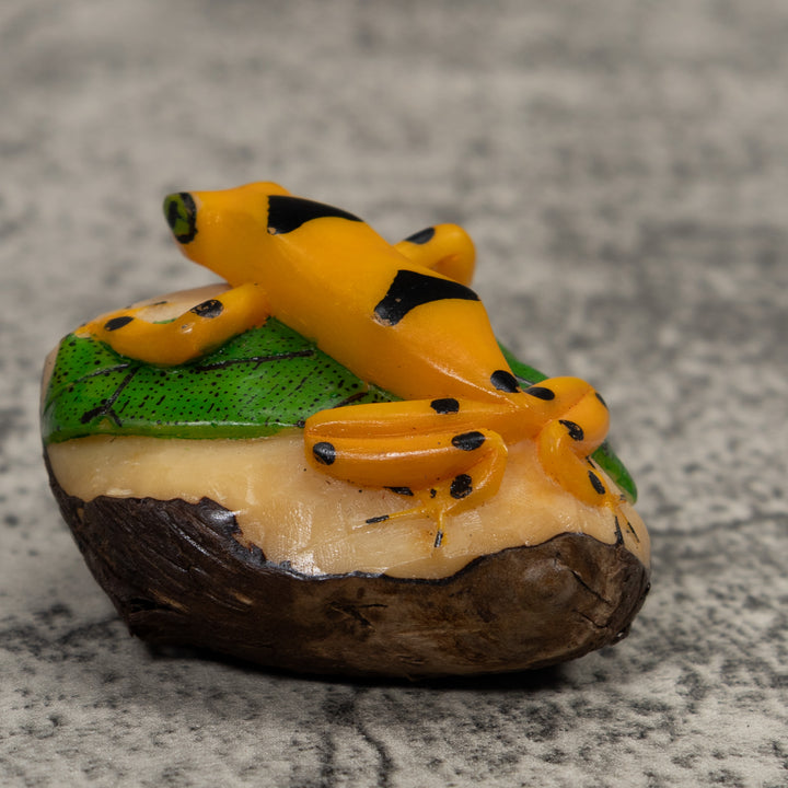 Golden Frog Tagua Carving
