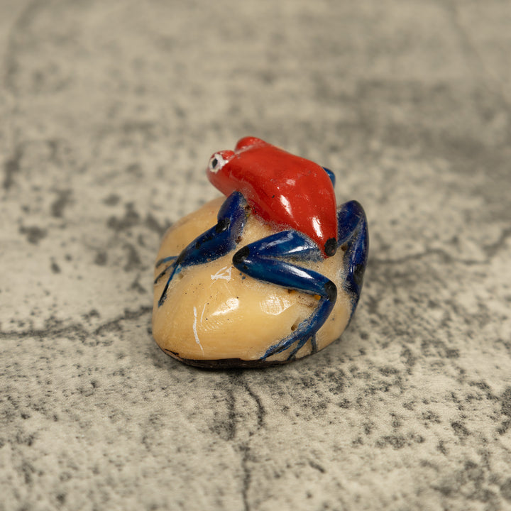 Vintage Red And Blue Poison Dart Frog Tagua Carving