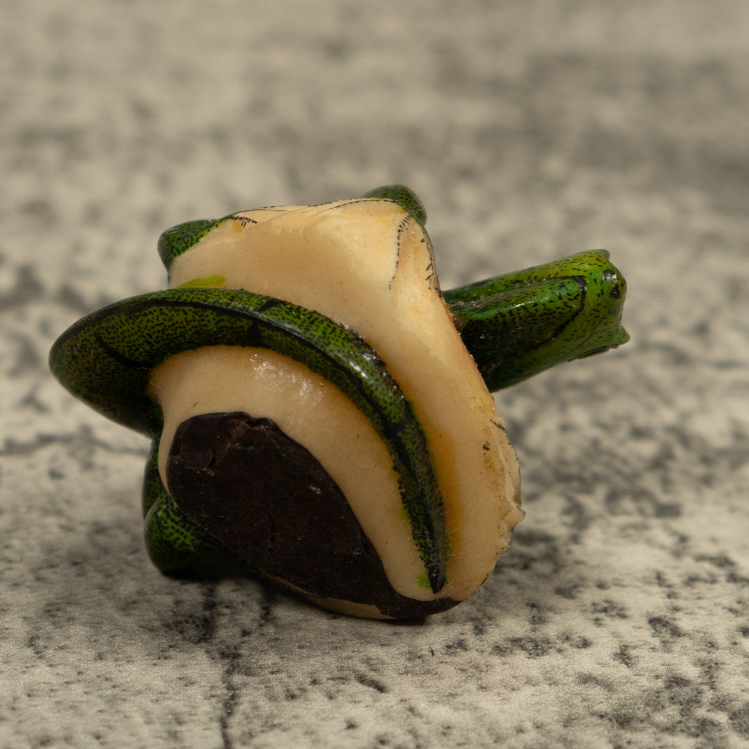 Iguana Lizard Reptile Tagua Carving