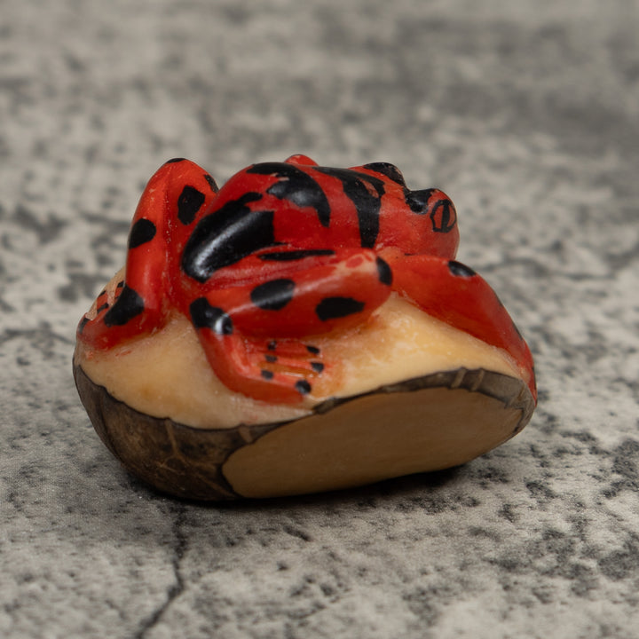 Vintage Black And Red Frog Tagua Carving