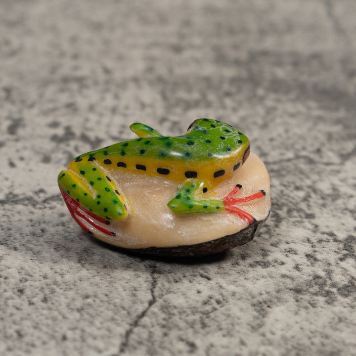 Green Yellow And Black Poison Dart Frog Tagua Carving