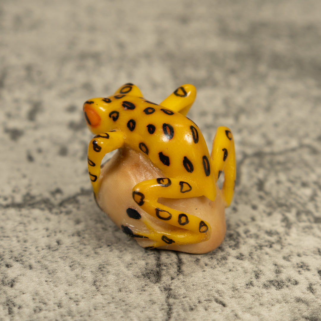 Vintage Golden Frog Tagua Carving