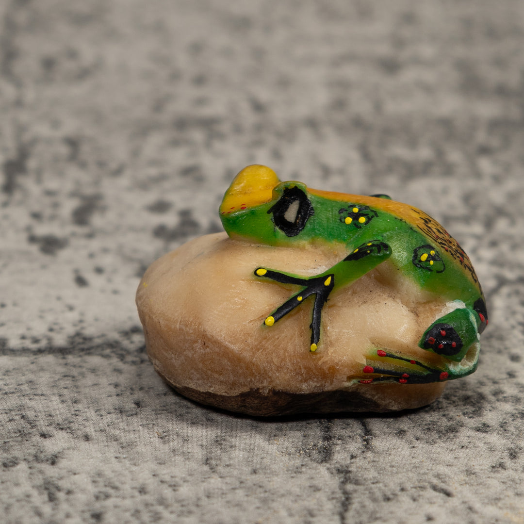 Vintage Green Yellow And Black Frog Tagua Carving