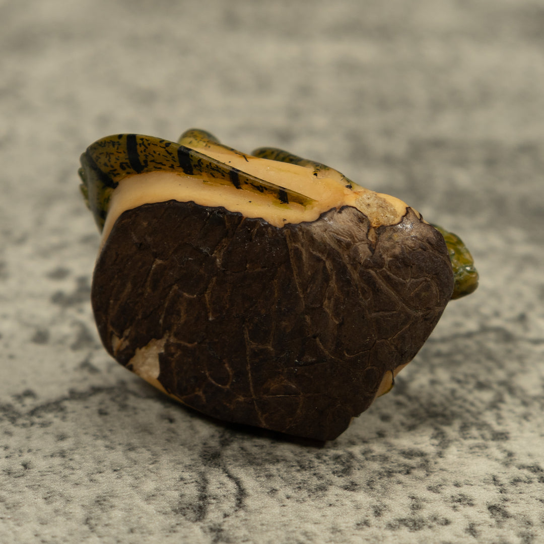 Vintage Iguana Lizard Reptile Tagua Carving