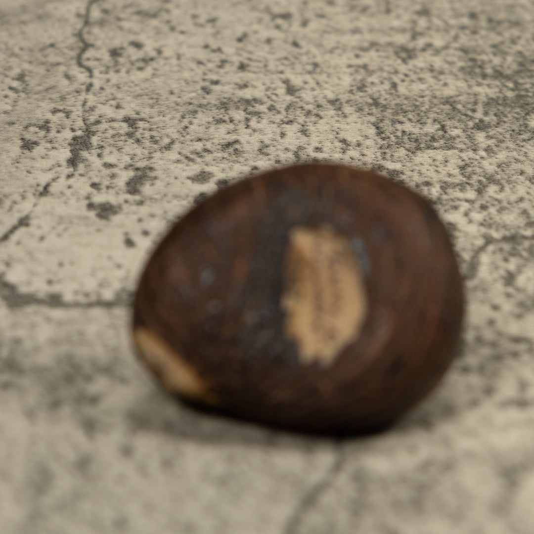 Catapillar Tagua Carving