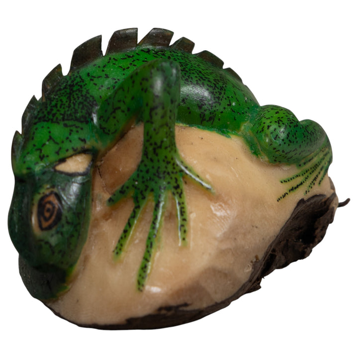 Iguana Lizard Reptile Tagua Carving