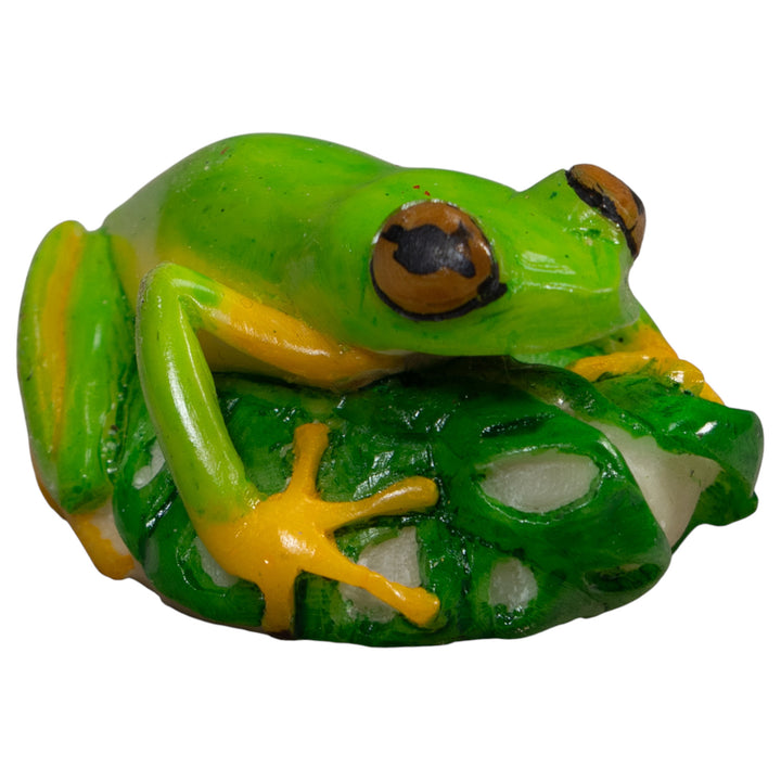 Red-Eye Tree Frog Tagua Carving