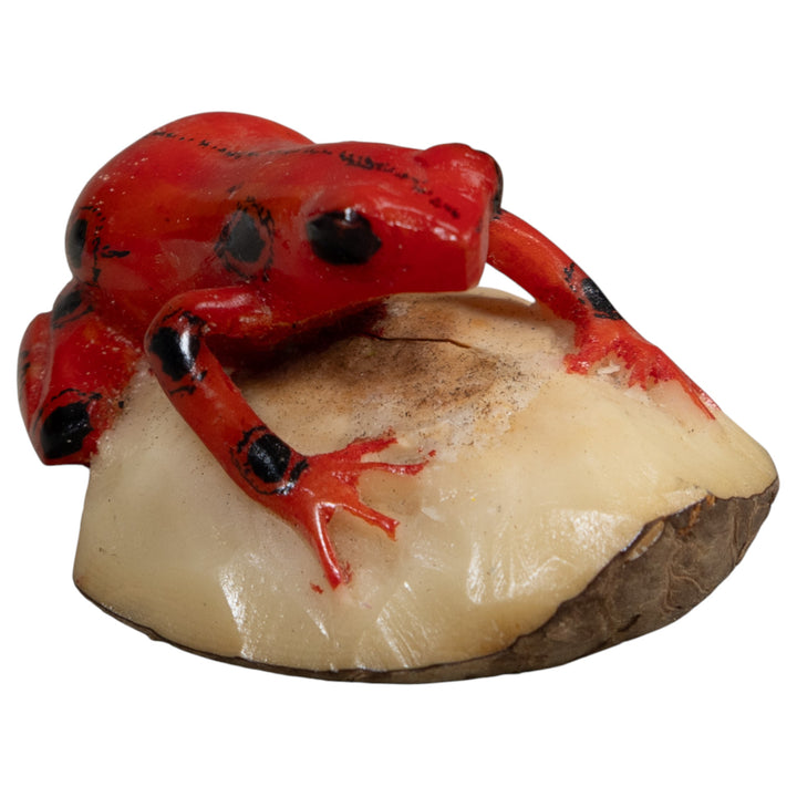Black And Red Poison Dart Frog Tagua Carving