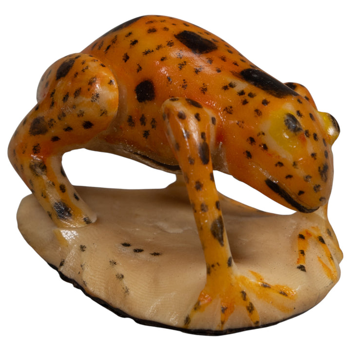 Vintage Black And Gold Frog Tagua Carving