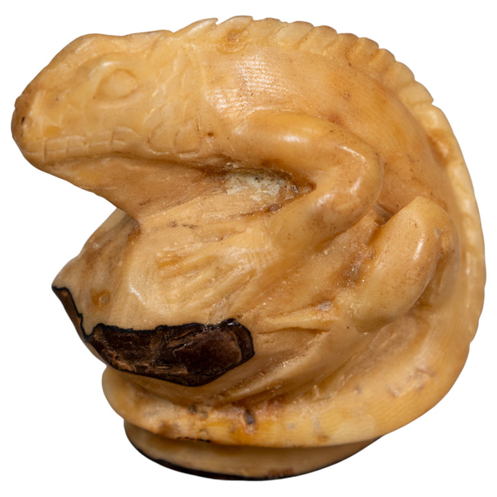 Vintage Dyed Iguana Lizard Tagua Carving