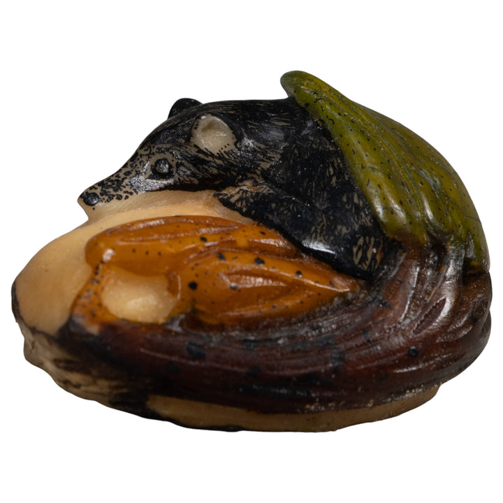 Rainforest Coatimundi Tagua Carving