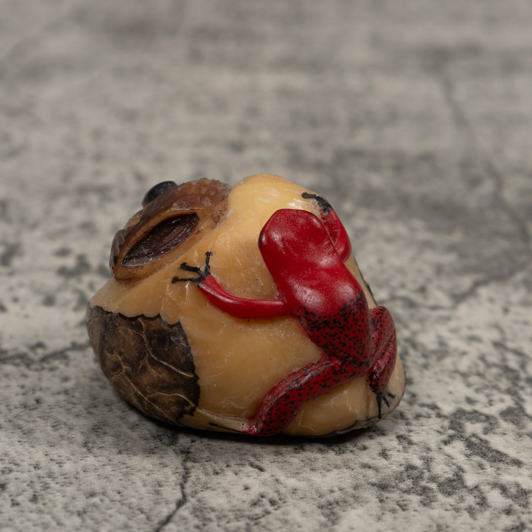 Poison Dart Frog Tagua Carving