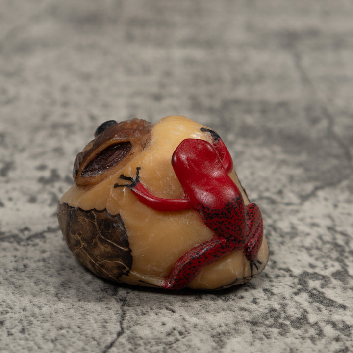Poison Dart Frog Tagua Carving