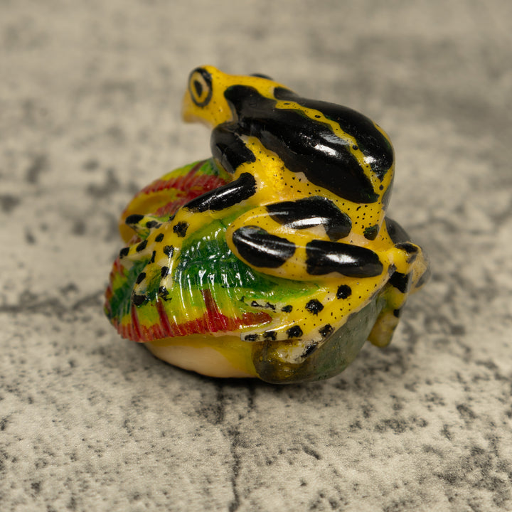 Black And Yellow Poison Dart Frog Tagua Carving