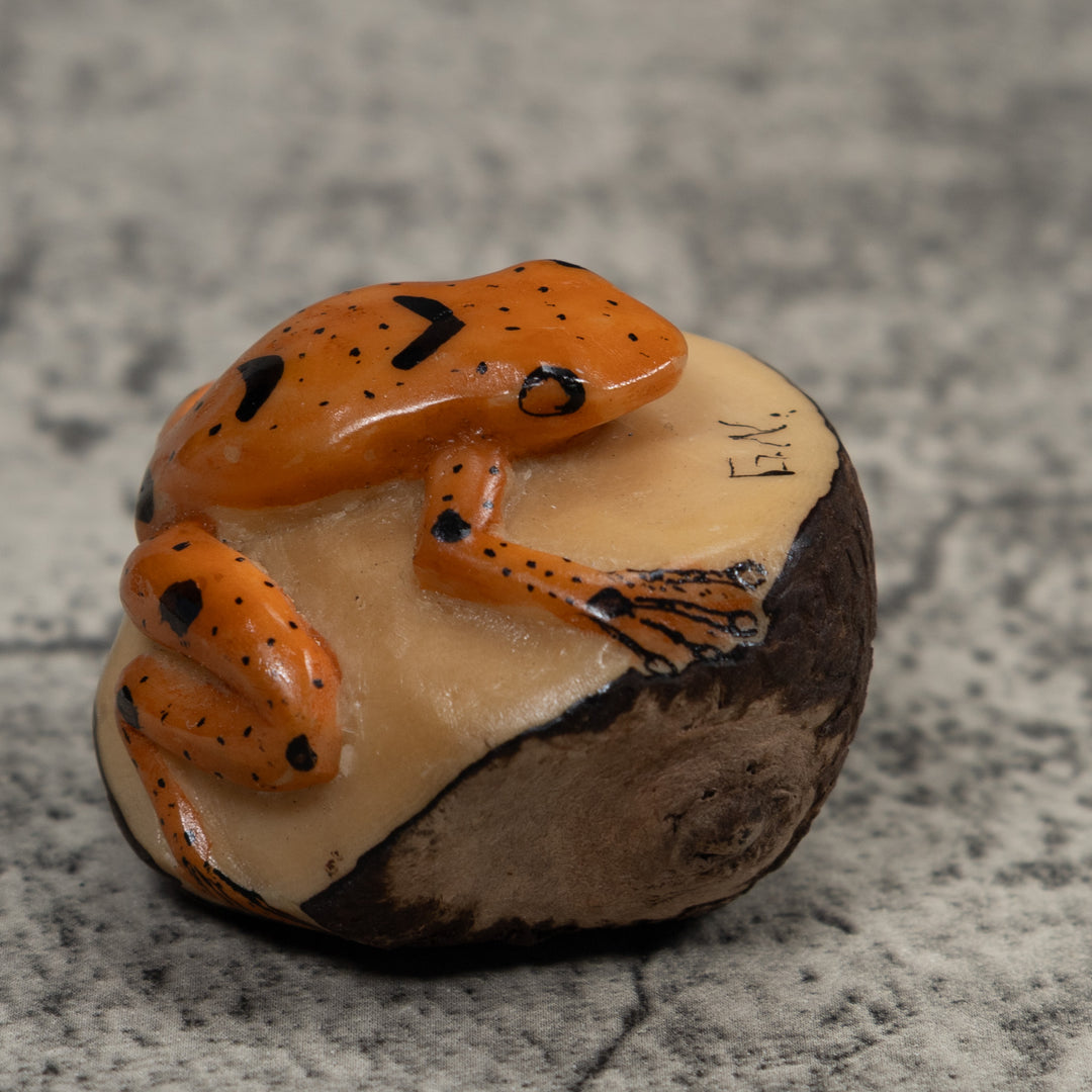 Vintage Poison Dart Frog Tagua Carving