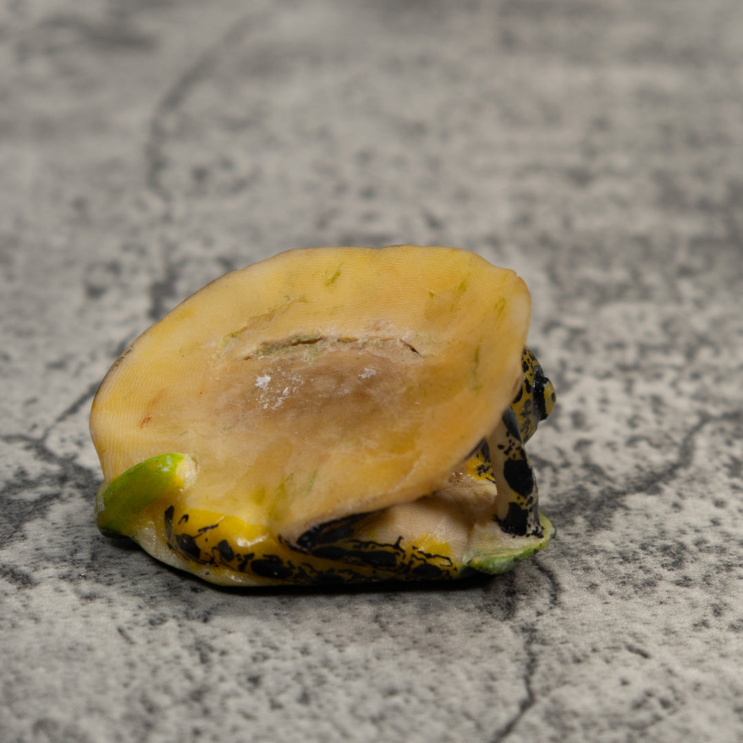 Black And Yellow Frog Under Leaf Tagua Carving