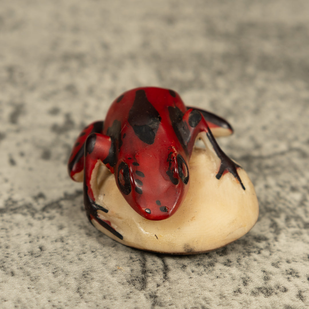 Red And Black Poison Dart Frog Tagua Carving