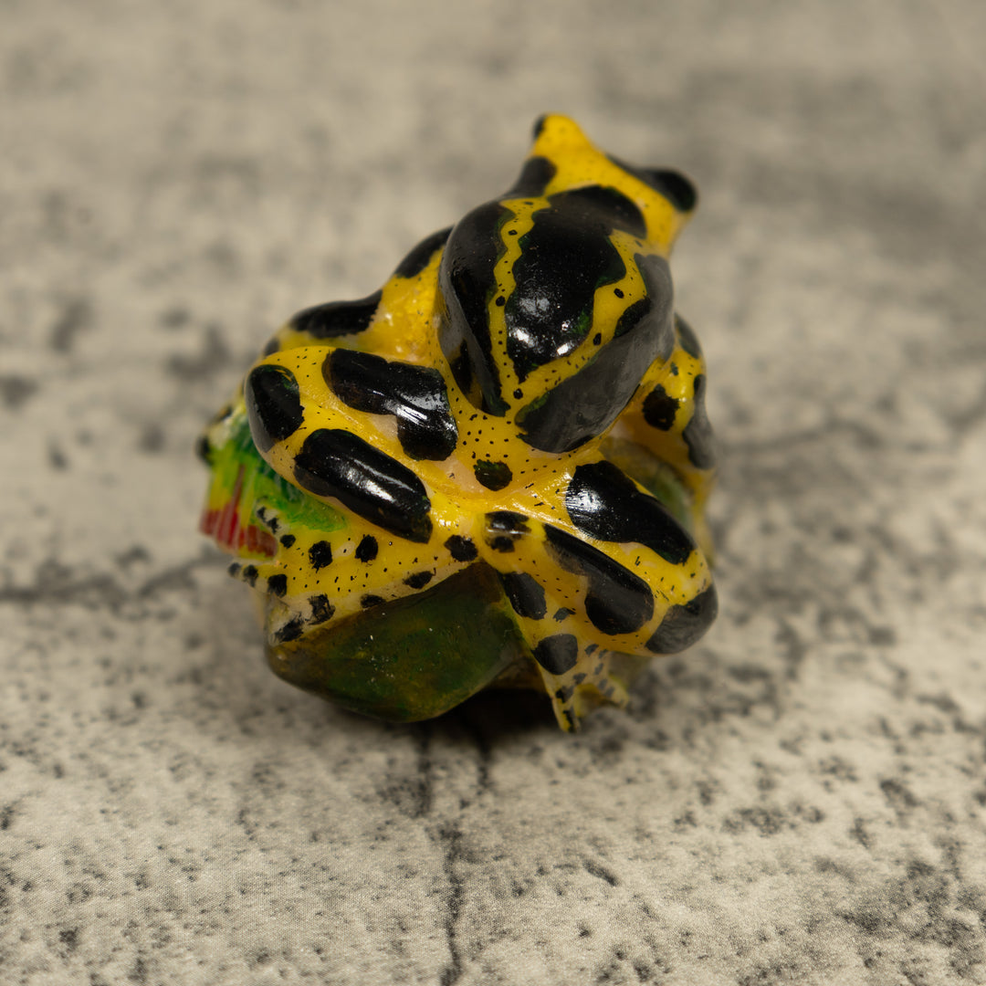 Black And Yellow Poison Dart Frog Tagua Carving