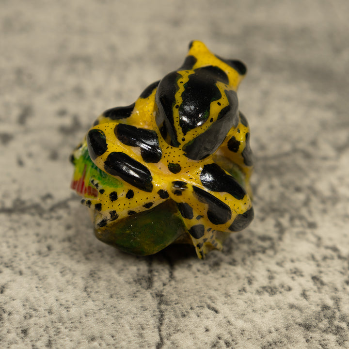 Black And Yellow Poison Dart Frog Tagua Carving