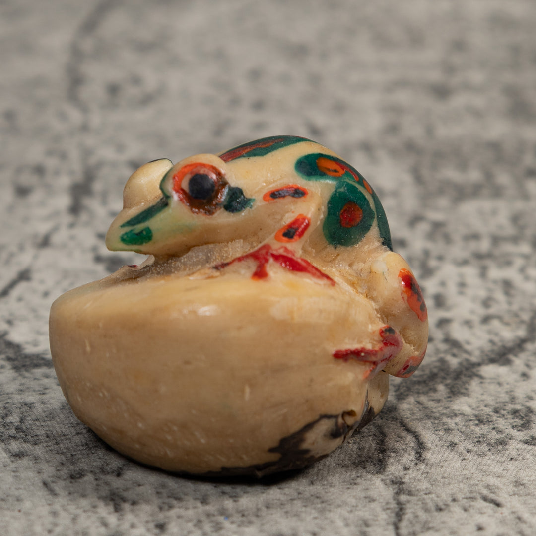 Red And Blue White Poison Dart Frog Tagua Carving