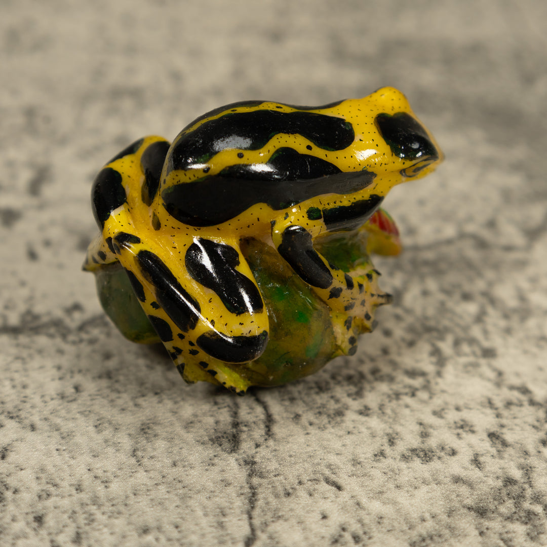 Black And Yellow Poison Dart Frog Tagua Carving
