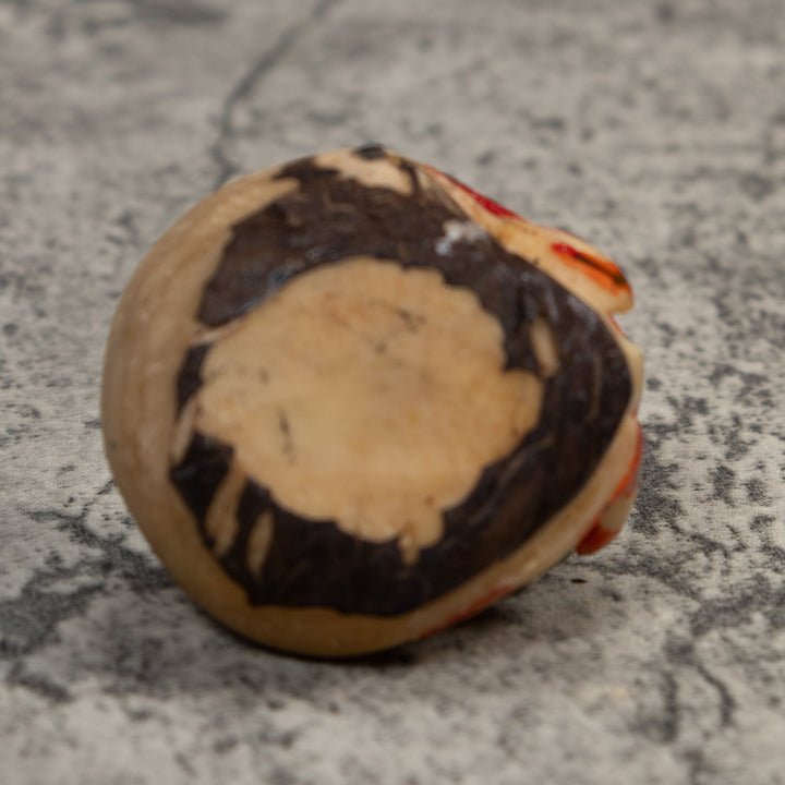 Red And Blue White Poison Dart Frog Tagua Carving