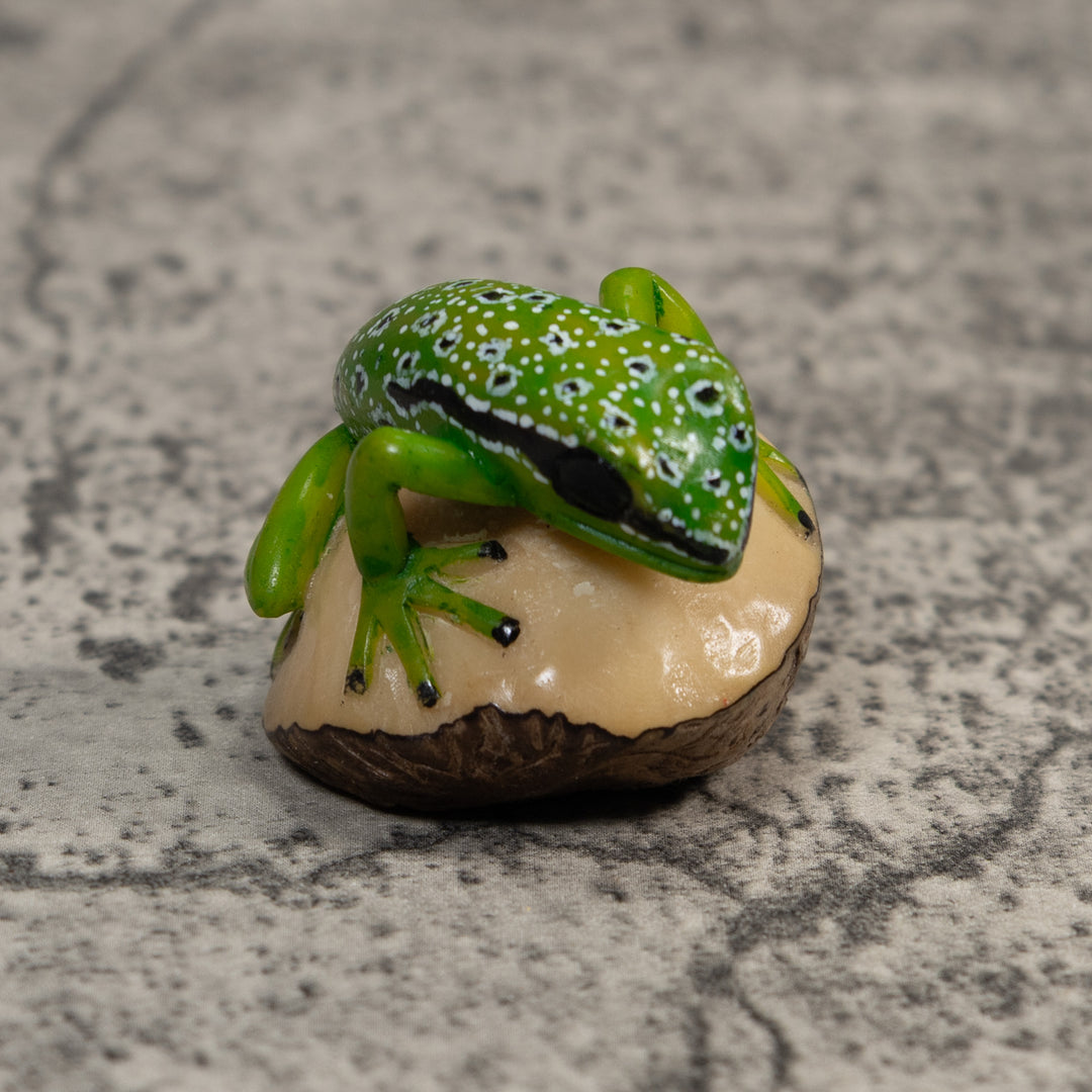 Black White And Green Poison Dart Frog Tagua Carving