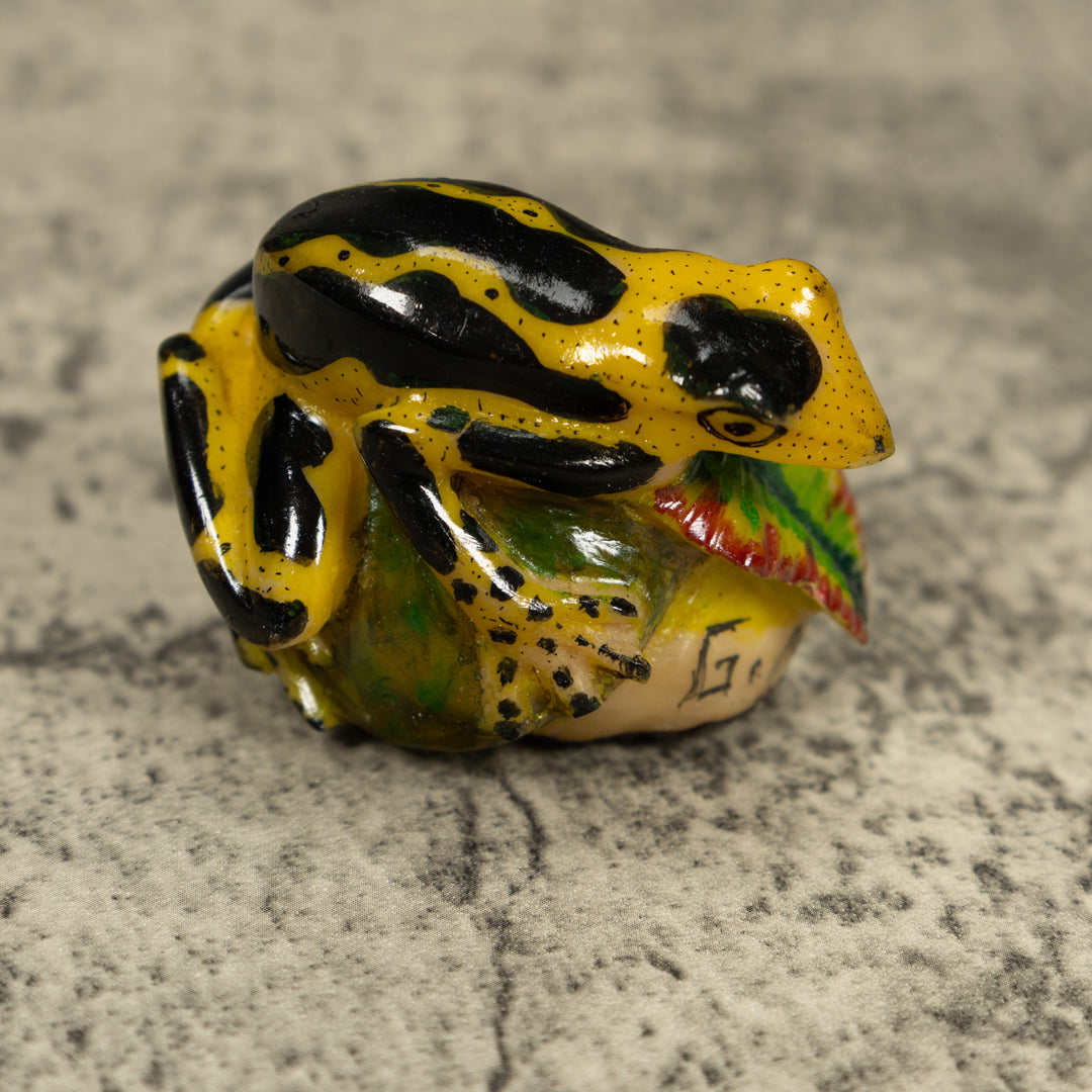 Black And Yellow Poison Dart Frog Tagua Carving
