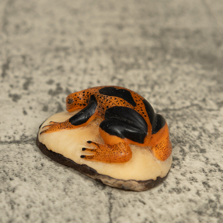 Black And Orange Poison Dart Frog Tagua Carving