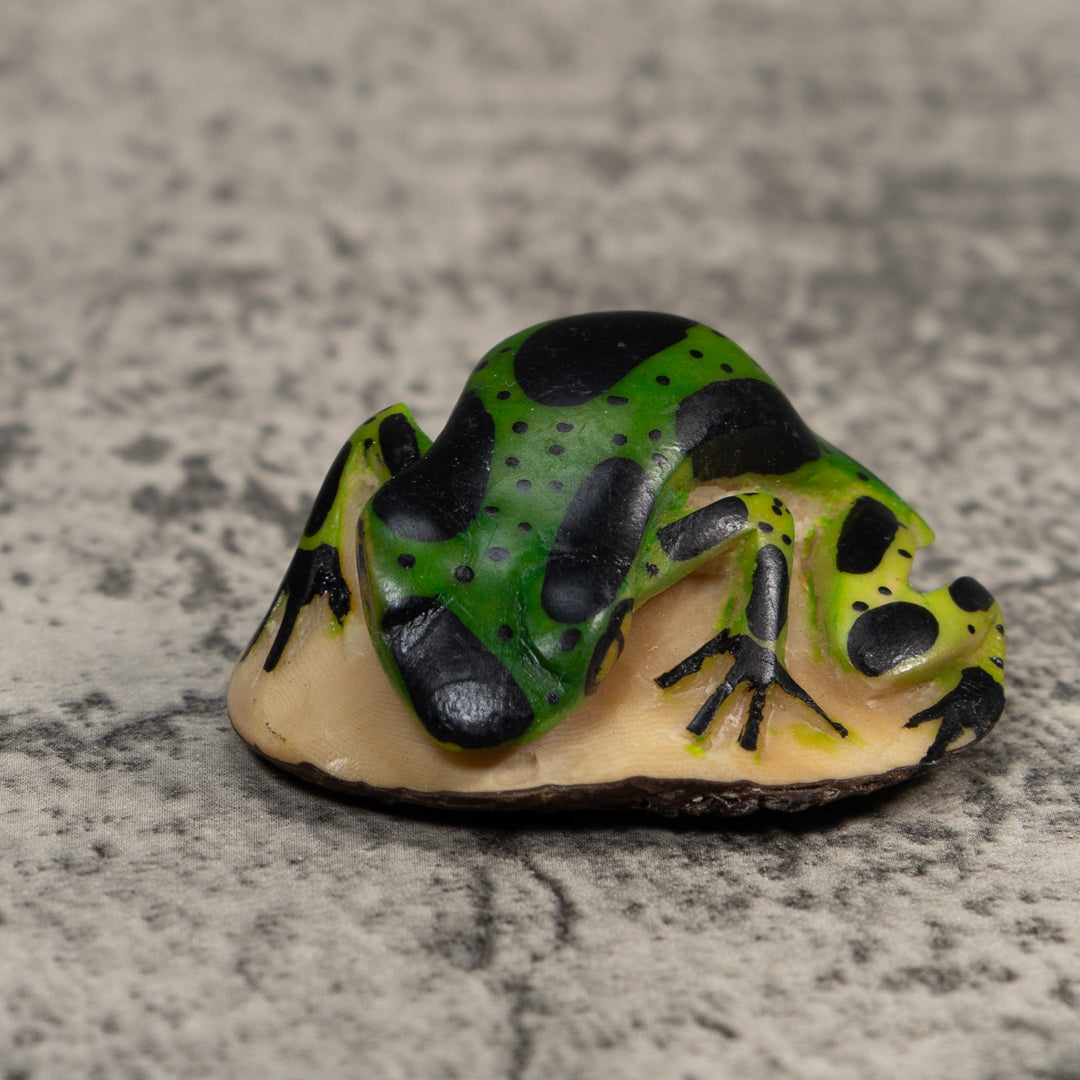 Vintage Green And Black Poison Dart Frog Tagua Carving