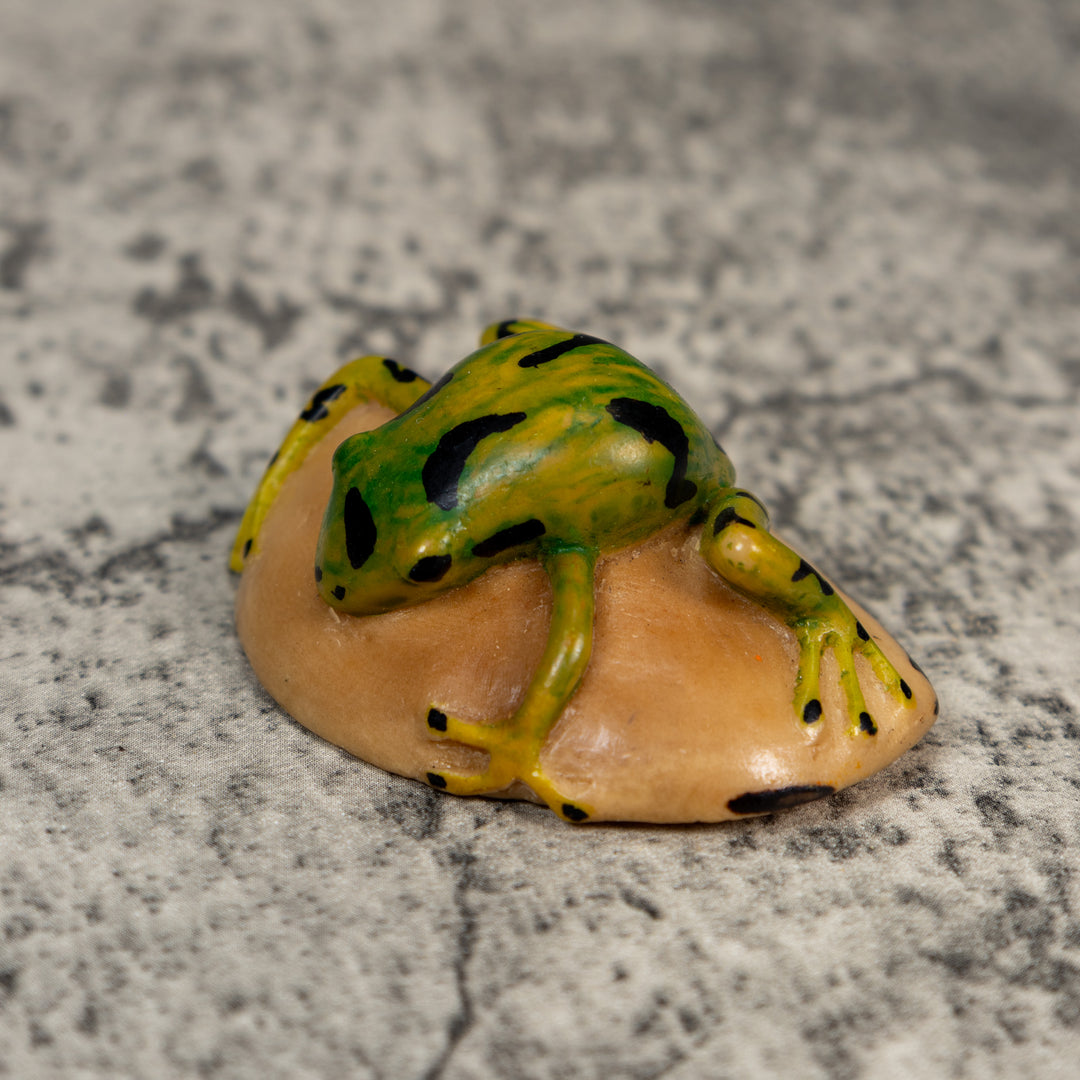 Vintage Green Gold And Black Frog Tagua Carving