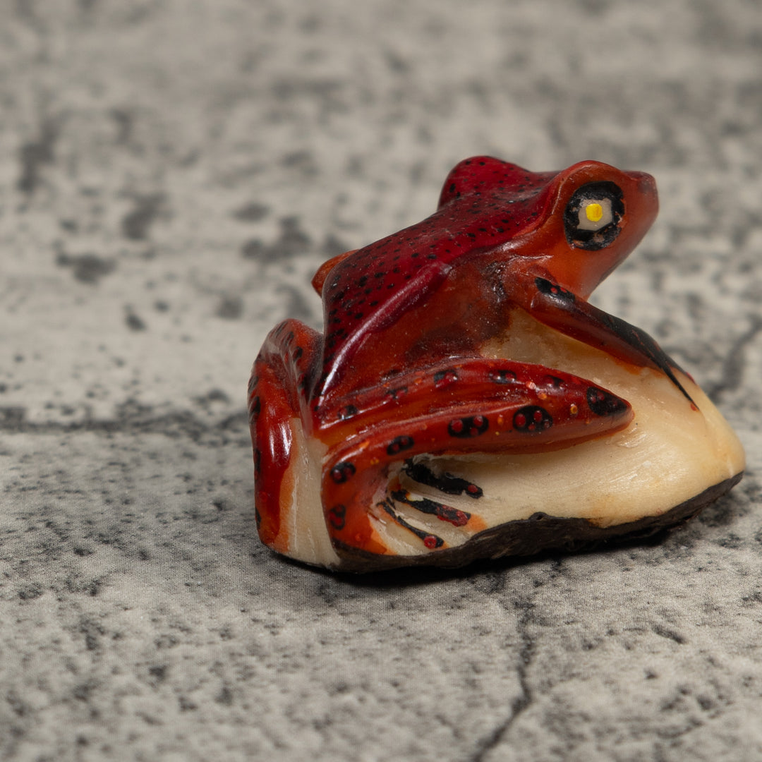 Vintage Red And Black Poison Dart Frog Tagua Carving