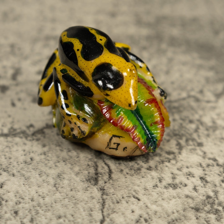 Black And Yellow Poison Dart Frog Tagua Carving