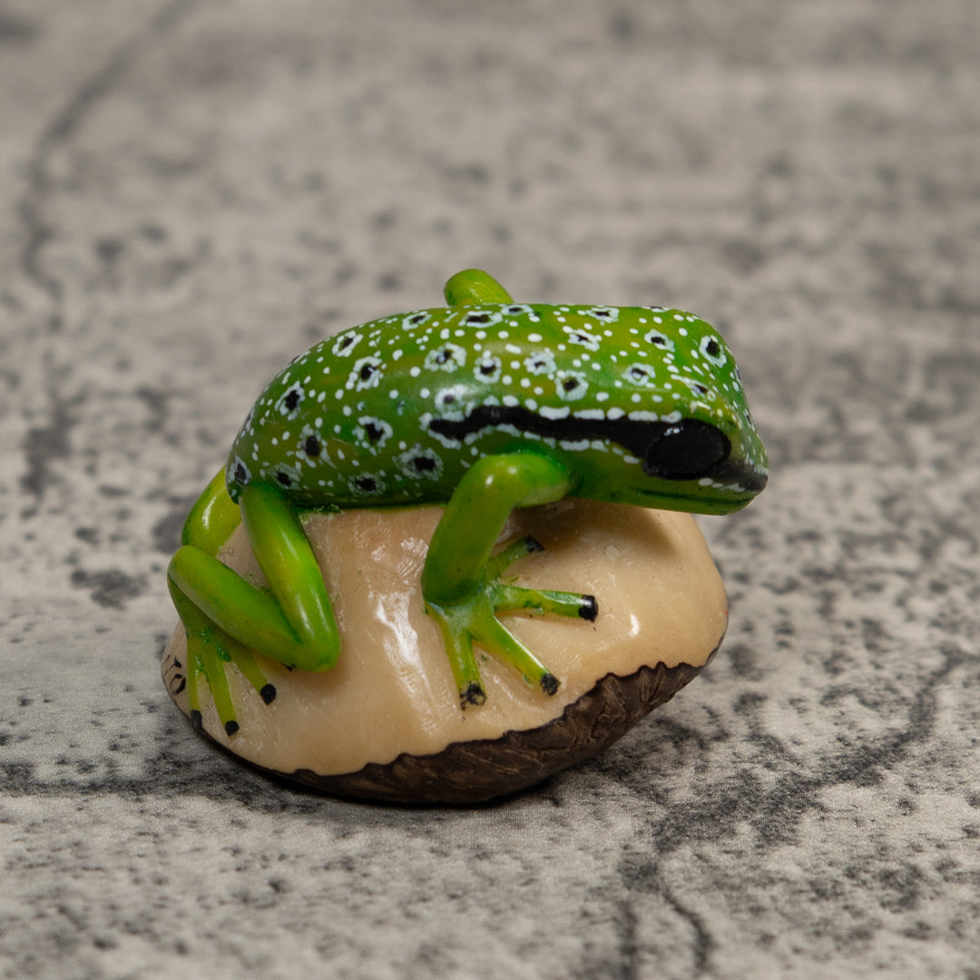 Black White And Green Poison Dart Frog Tagua Carving