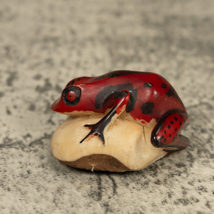 Red And Black Poison Dart Frog Tagua Carving
