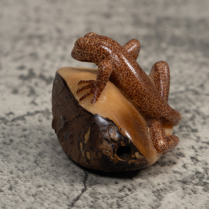 Brown Gecko Lizard Tagua Carving