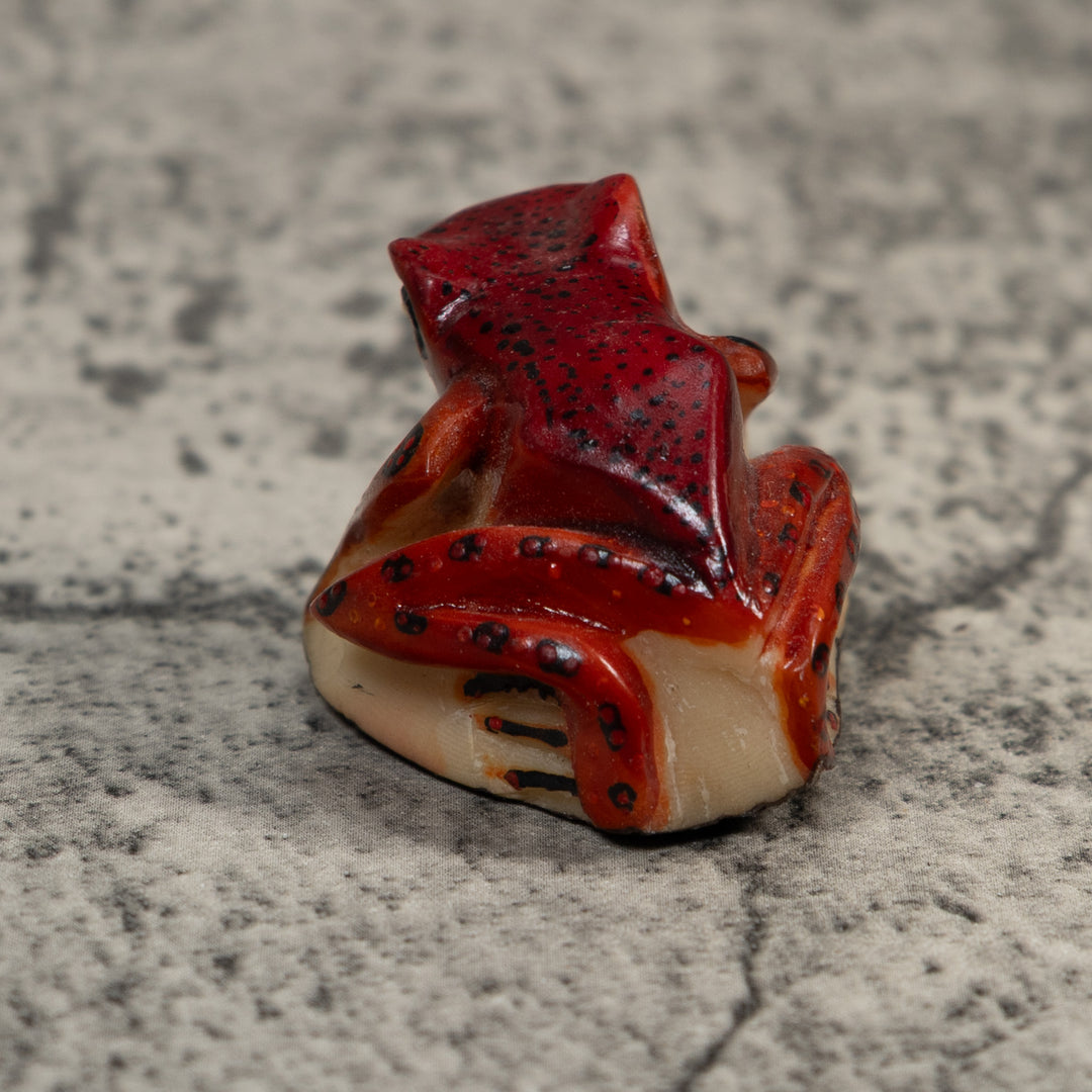 Vintage Red And Black Poison Dart Frog Tagua Carving