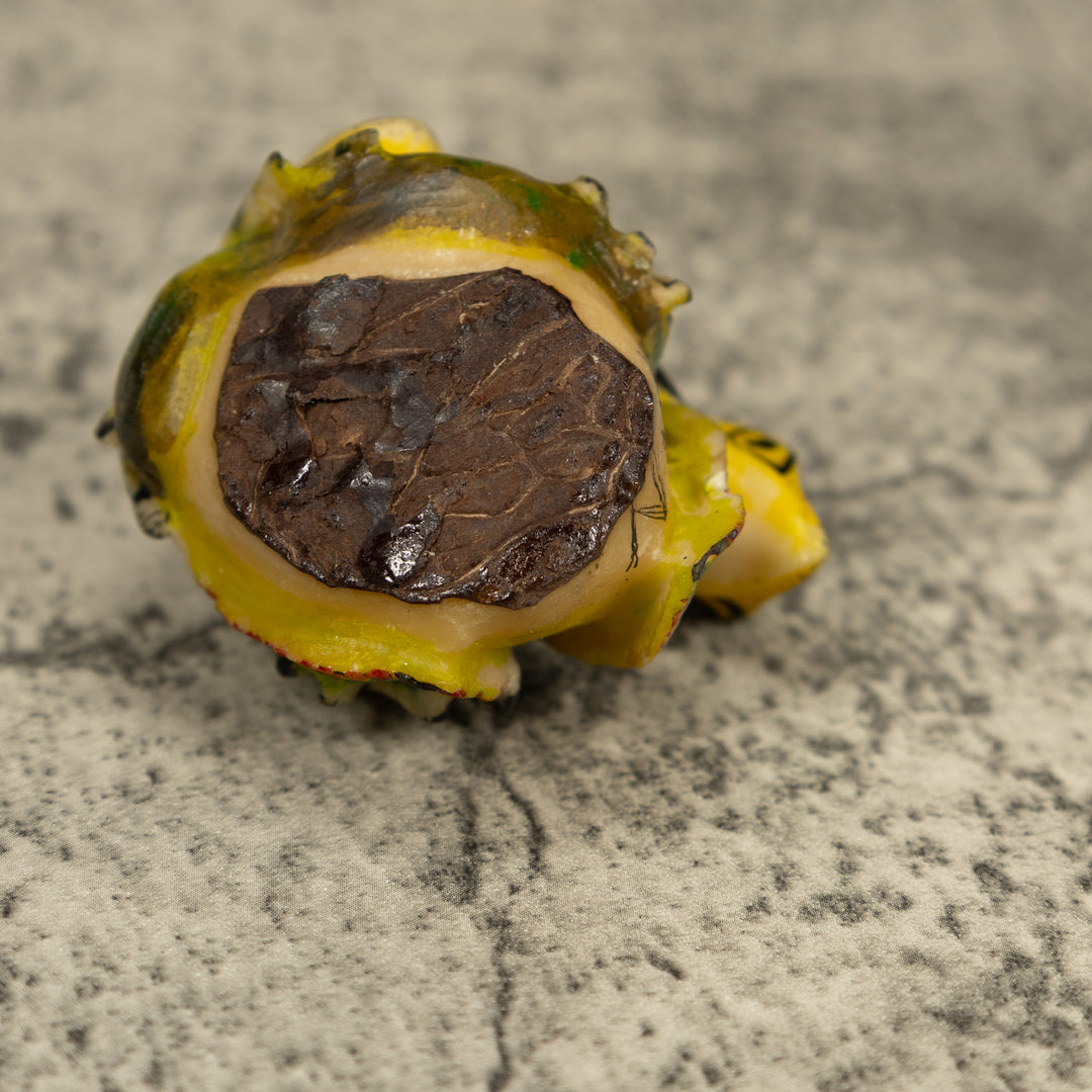 Black And Yellow Poison Dart Frog Tagua Carving