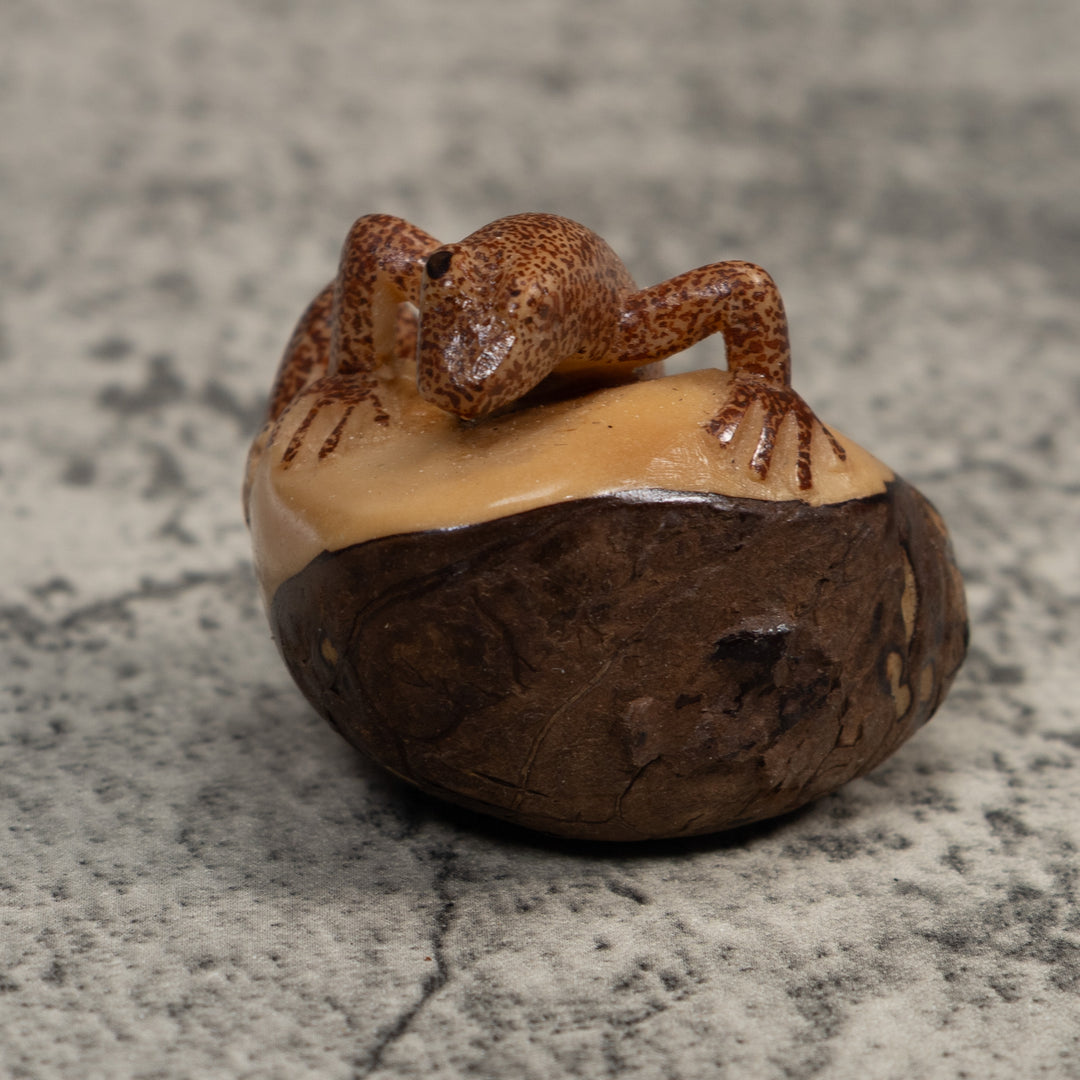 Brown Gecko Lizard Tagua Carving