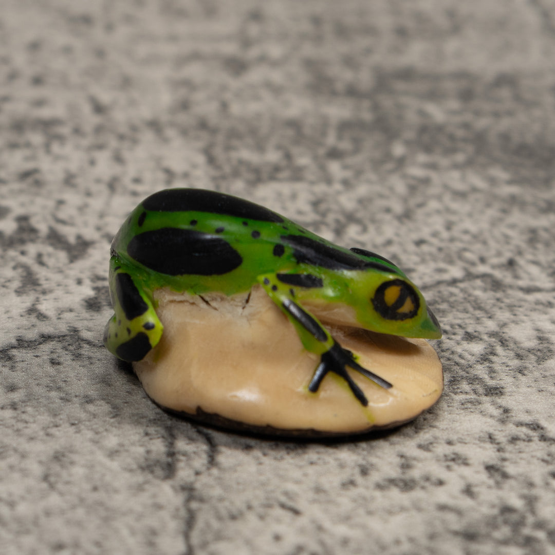 Vintage Green And Black Poison Dart Frog Tagua Carving