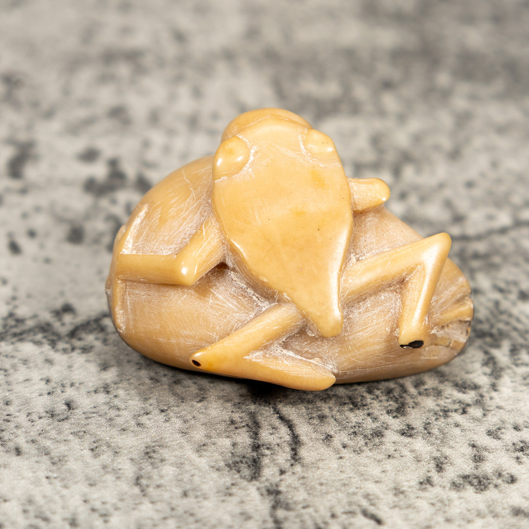 Natural White Blow Throat Frog Tagua Carving