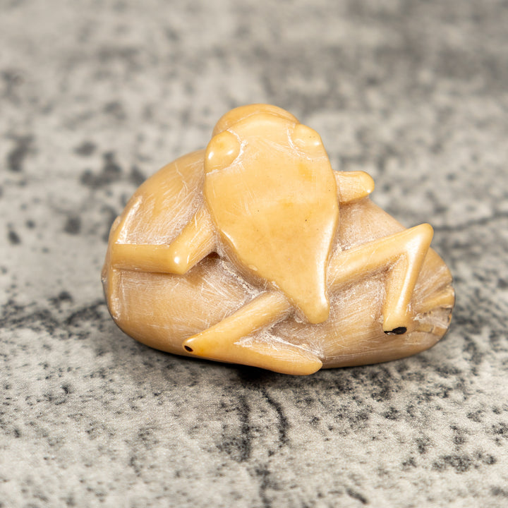 Natural White Blow Throat Frog Tagua Carving