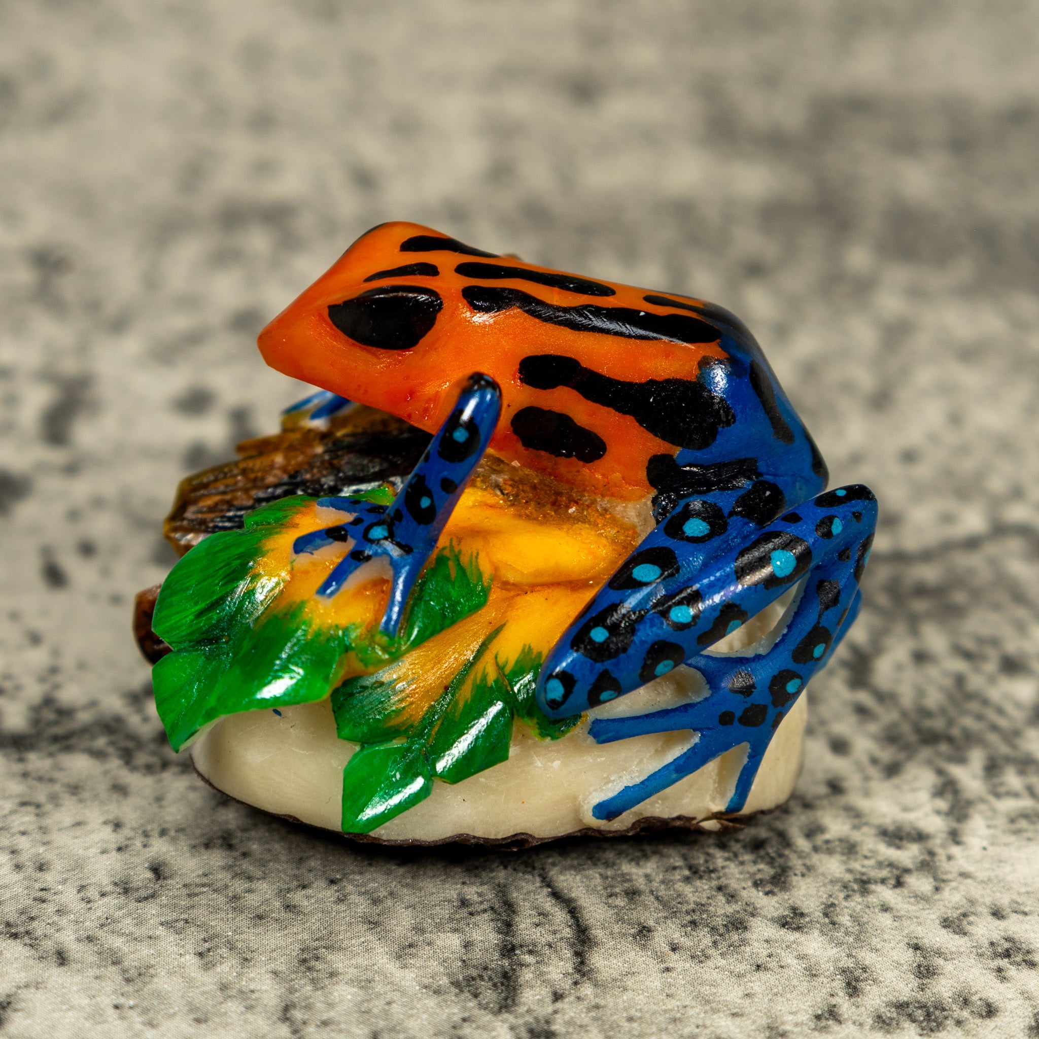 Blue Orange And Black Poison Dart Frog Tagua Carving – TraderBrock