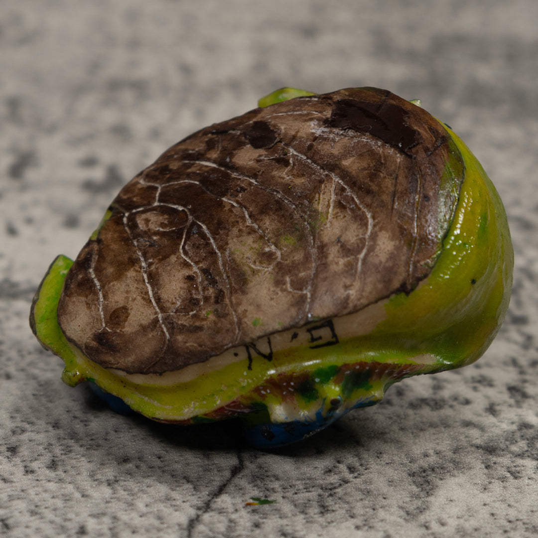 Blue Poison Dart Frog Tagua Carving
