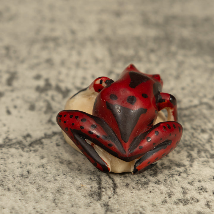 Red And Black Poison Dart Frog Tagua Carving