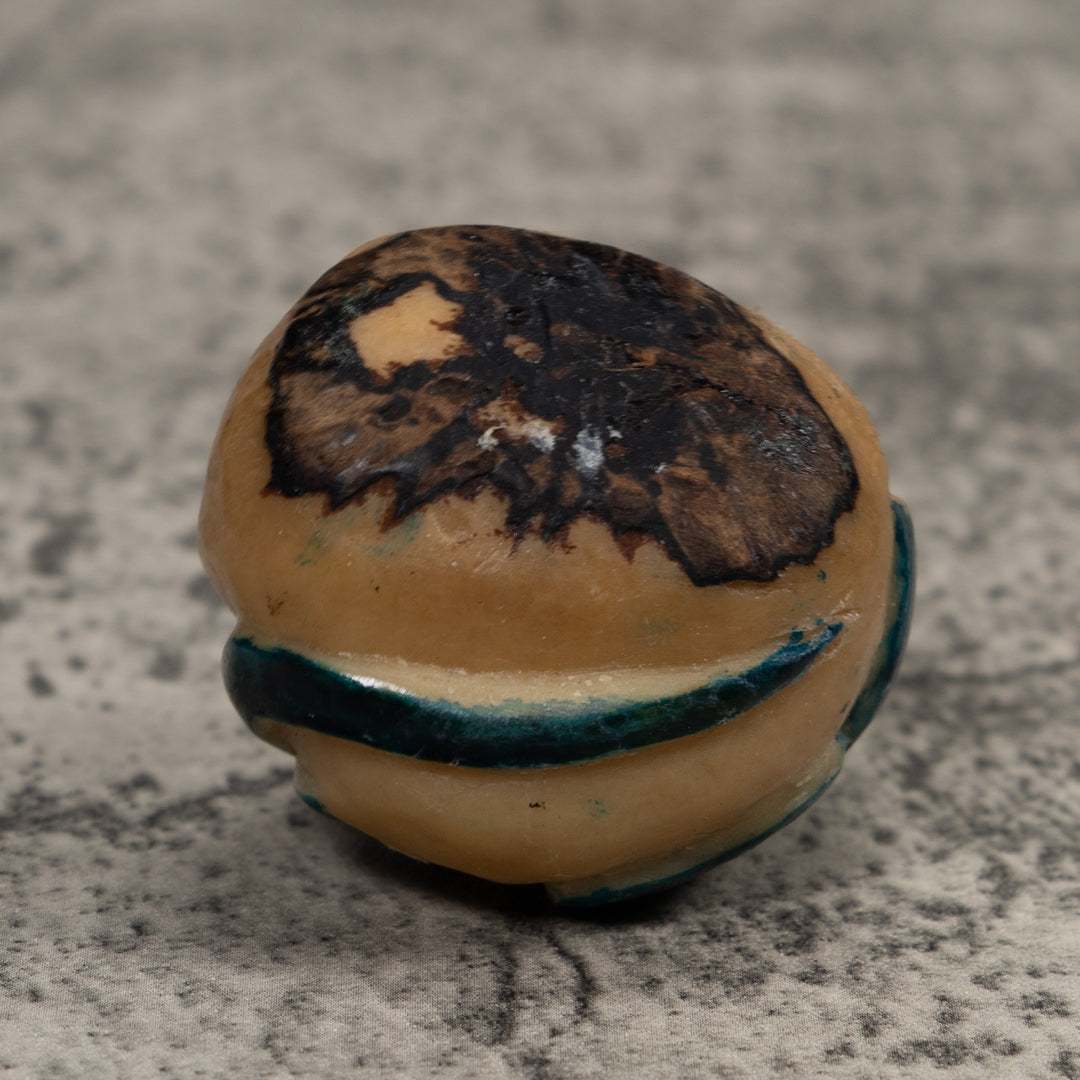 Vintage Stingray Tagua Carving